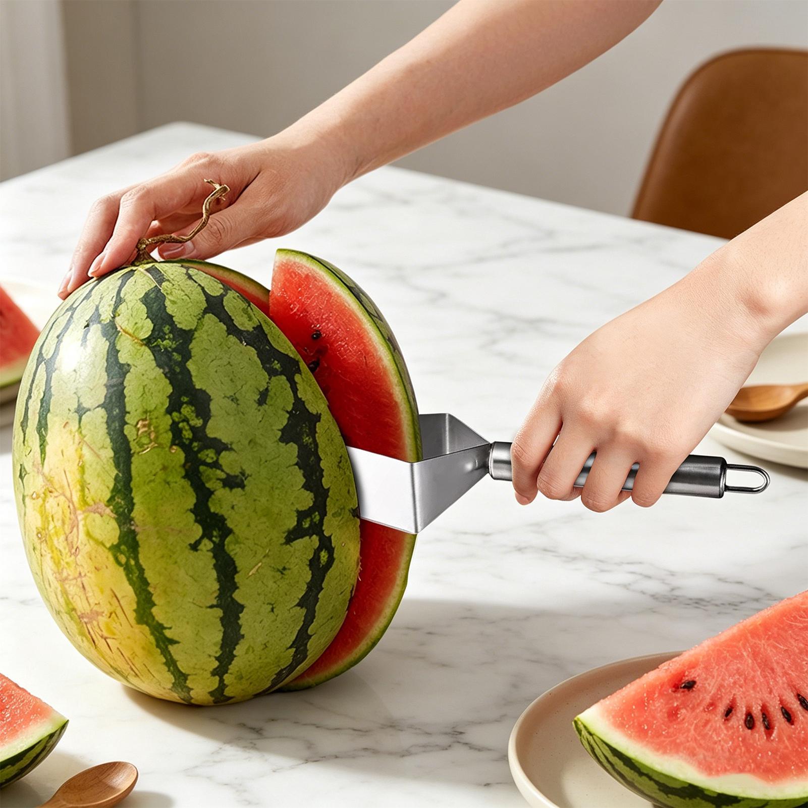 stainless steel Watermelon sli - Women Kitchen Accessories review and price